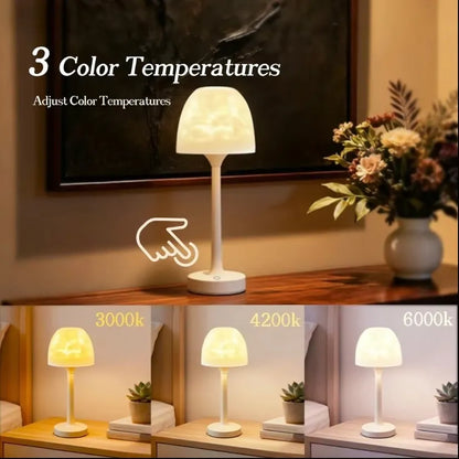3 color temperature touch control LED lamp with warm, neutral and white light modes for home use